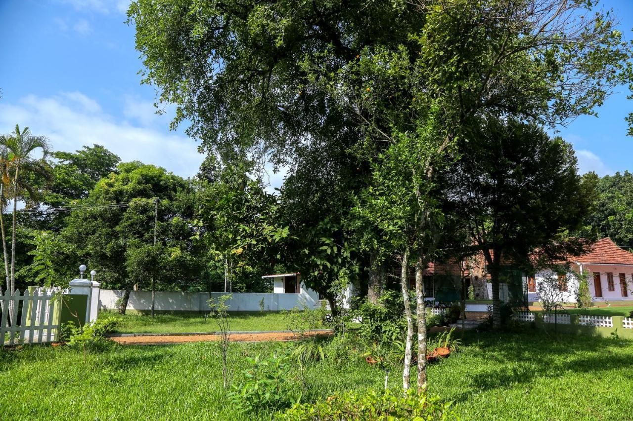Akkara Homestay & Ayurveda Kottayam Εξωτερικό φωτογραφία
